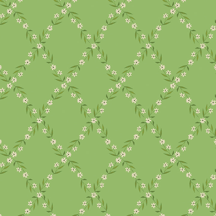Daisy Lattice Mint