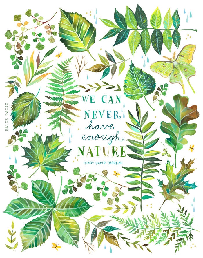 Nature Art Print