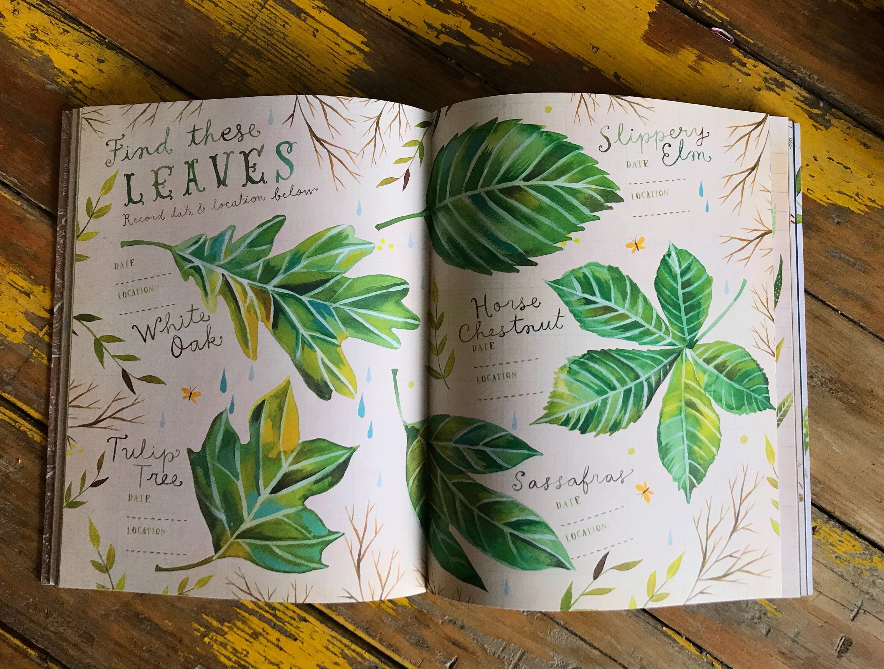 The Wildflower's Workbook
