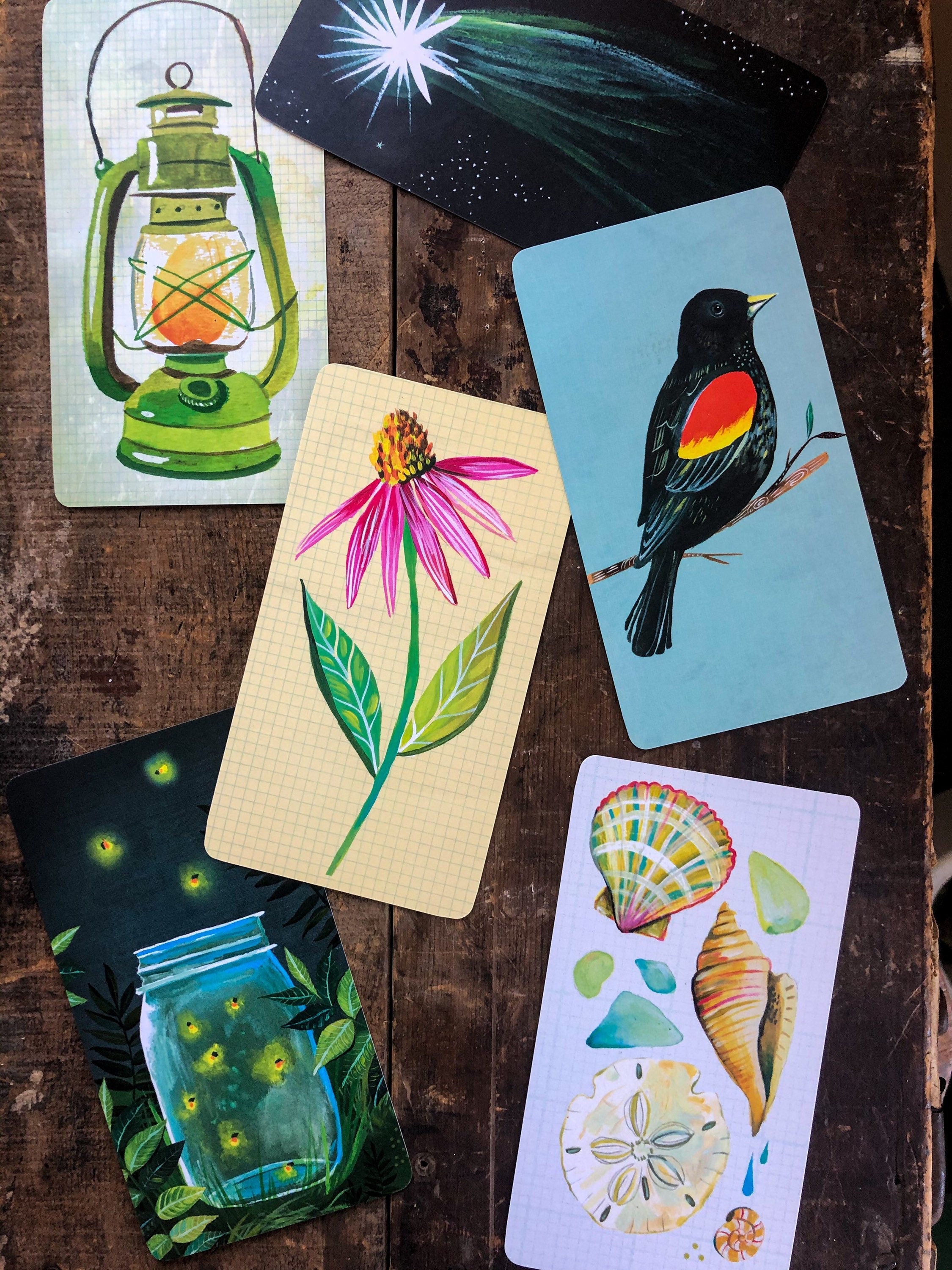 How to Be a Wildflower DECK