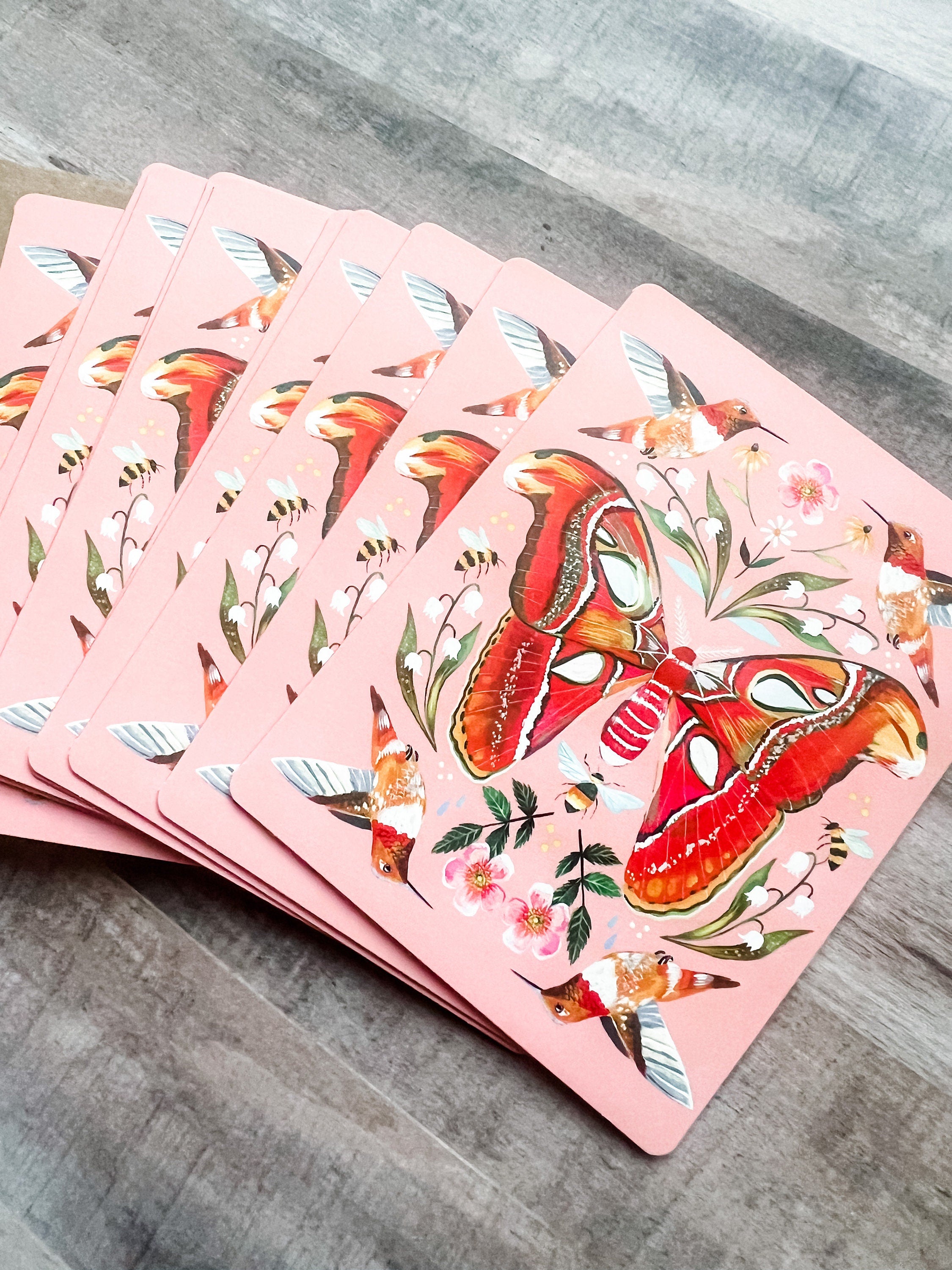 Atlas Moth Boxed Notecard Set