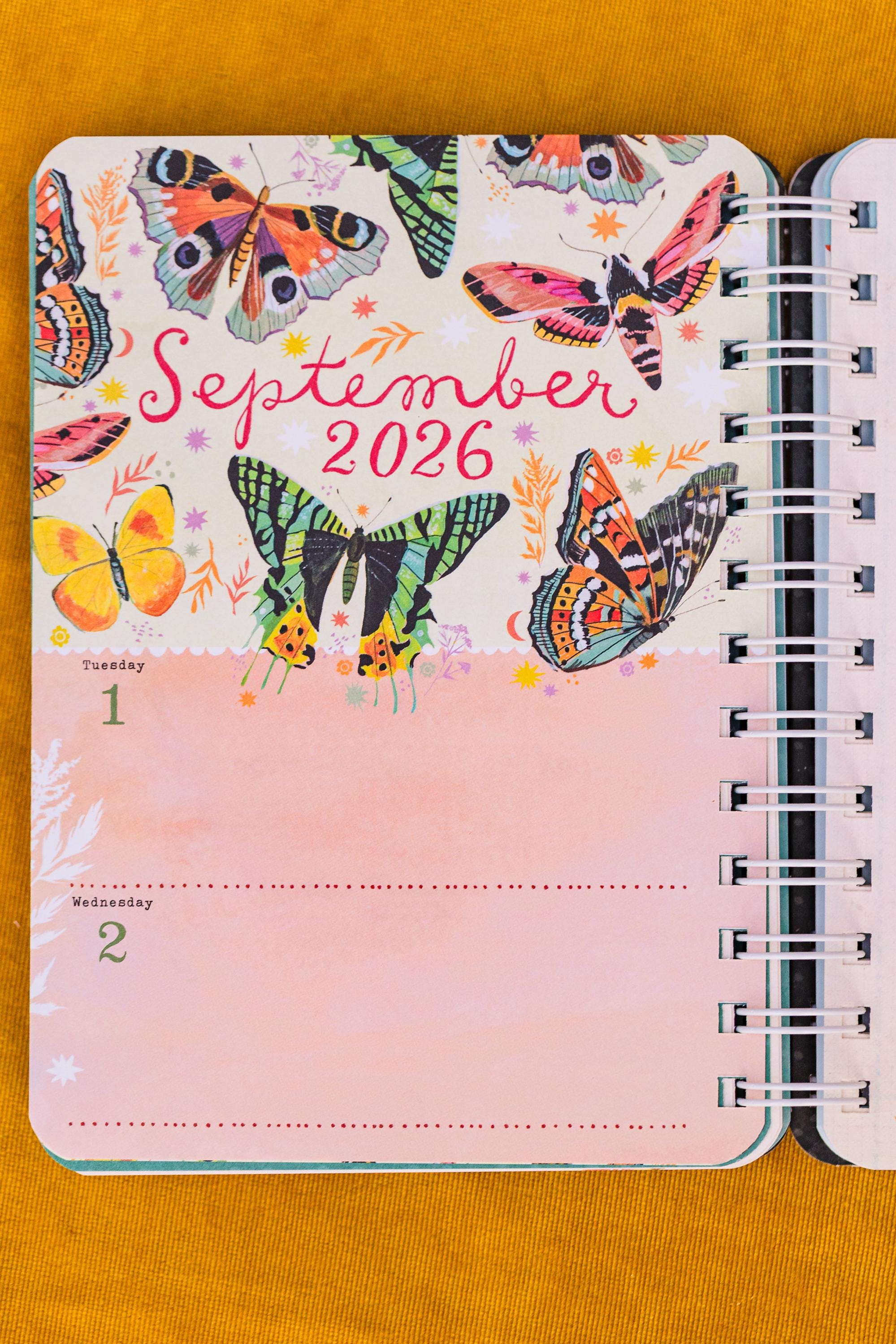 2026 Planner by Katie Daisy