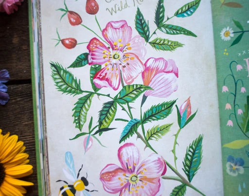 How to Be a Wildflower: A Field Guide. *SIGNED BOOK*