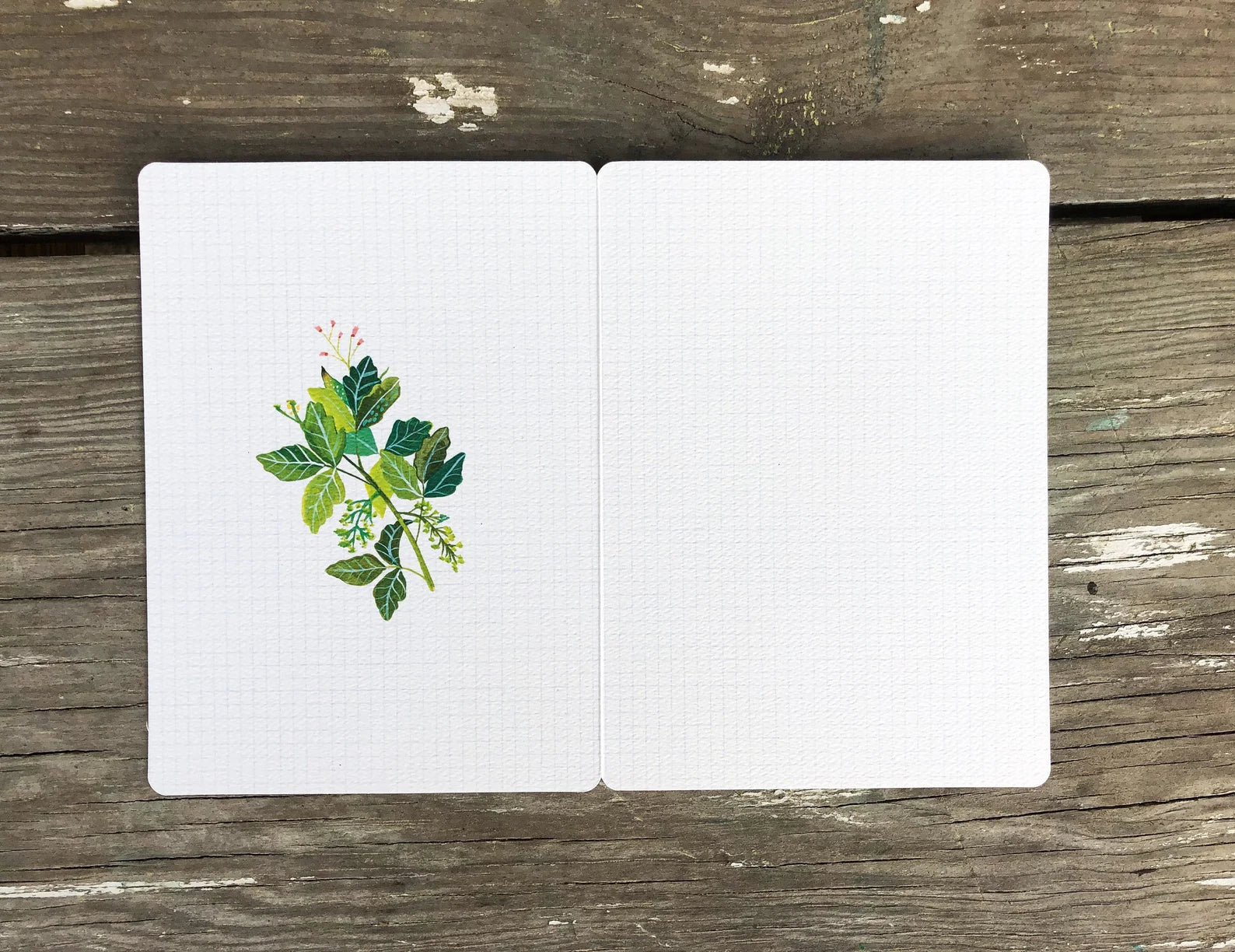 Houses Blank Greeting Card