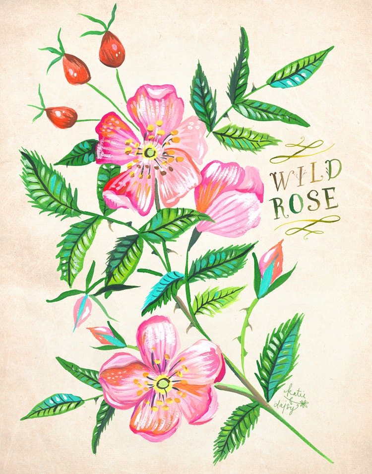 Wild Rose Art Print