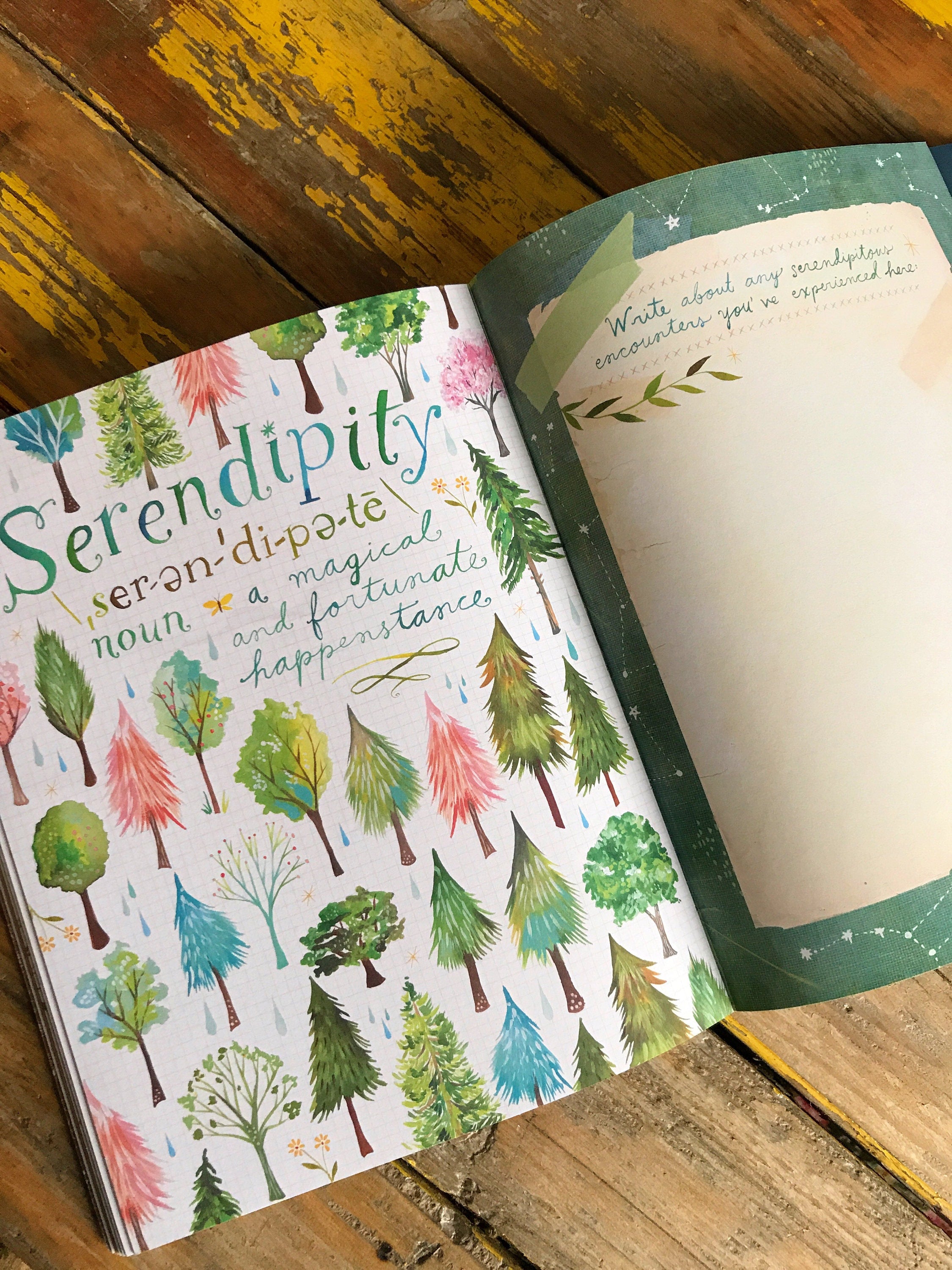 The Wildflower's Workbook