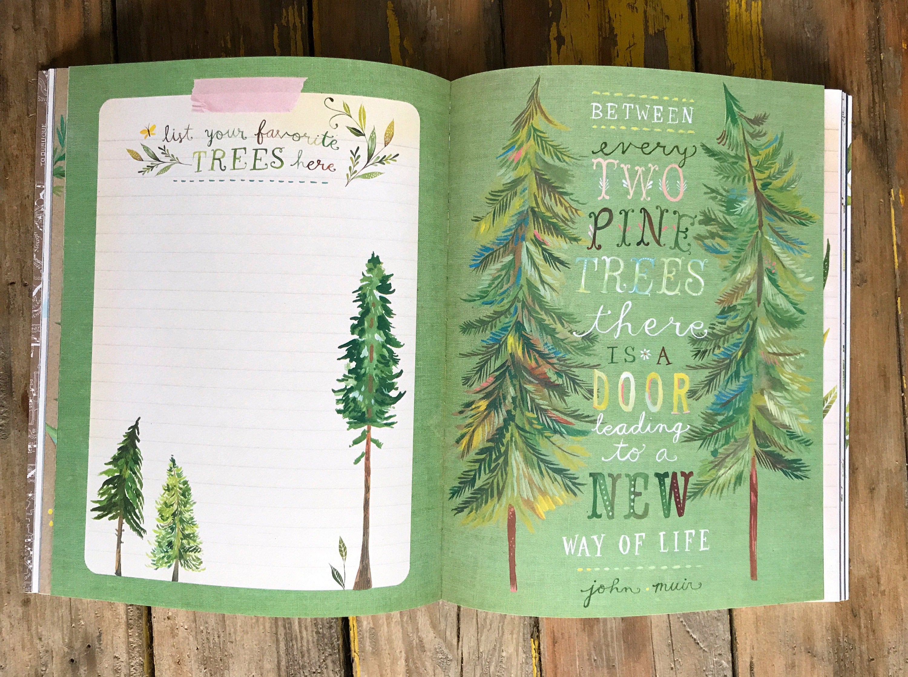The Wildflower's Workbook