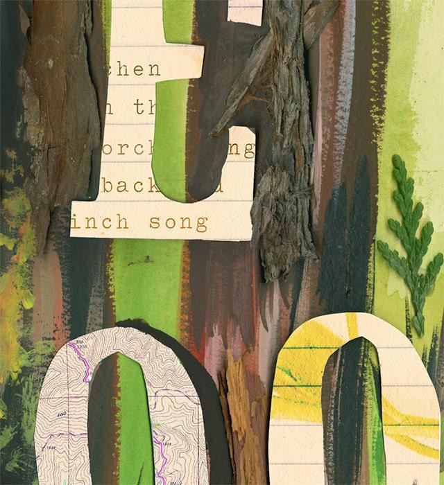 Explore The Redwoods Art Print